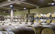 bodegas