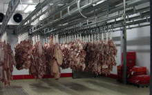 Conservación de la carne